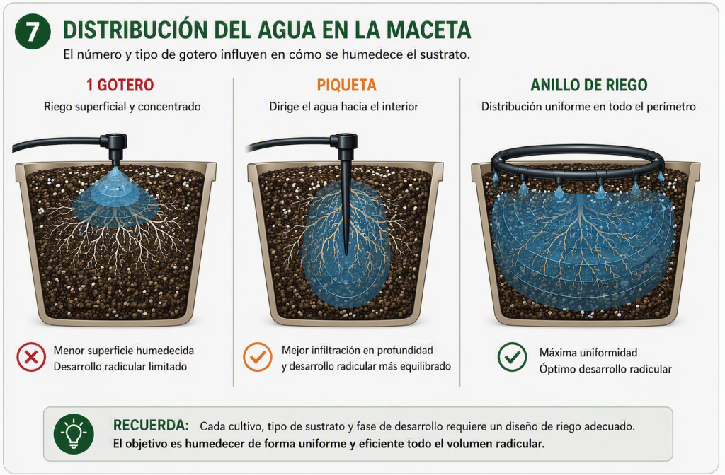 Comparación entre gotero simple, piqueta y anillo de riego mostrando cómo se distribuye el agua dentro del sustrato.