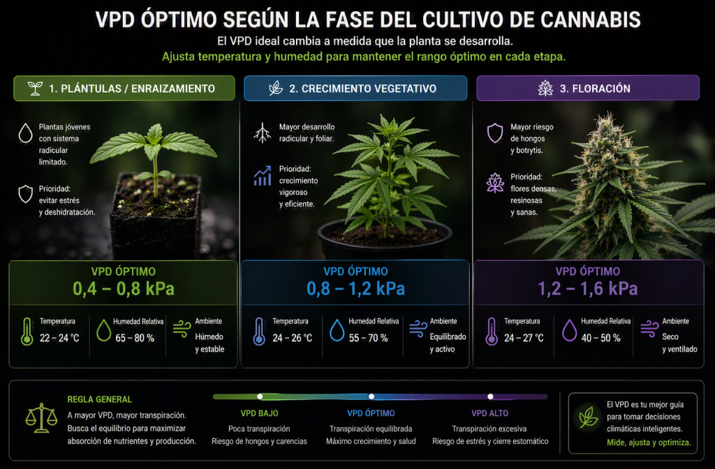 Valores óptimos de VPD en cannabis para cada fase del cultivo