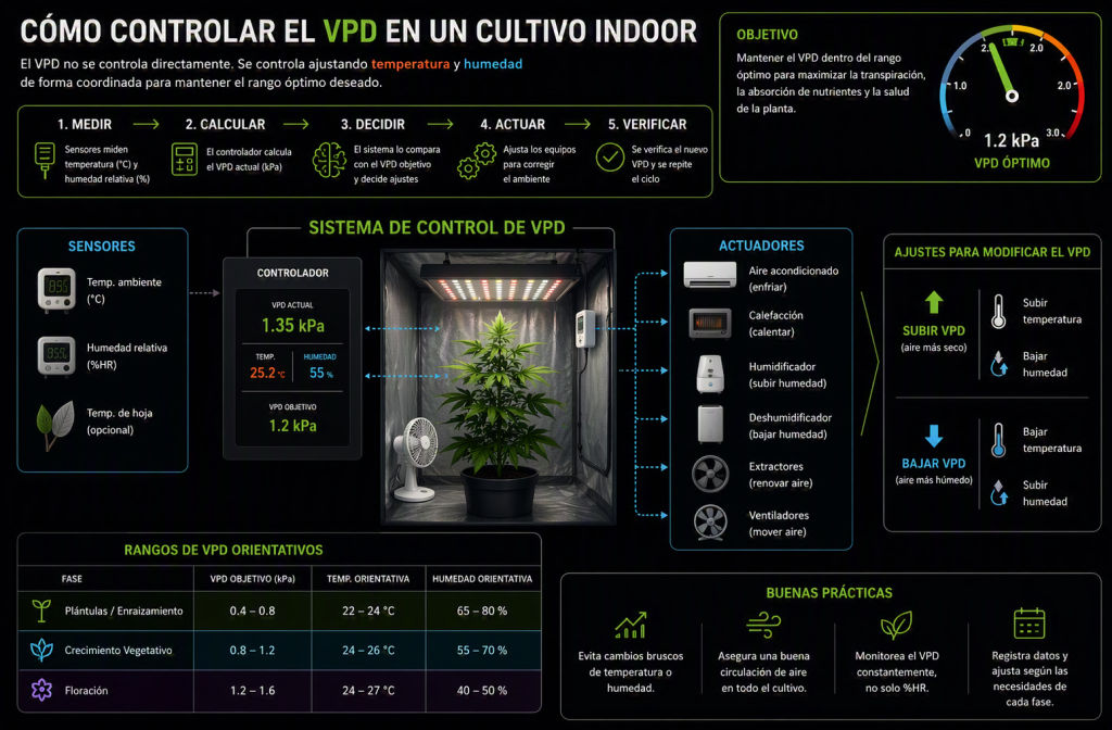 Cómo controlar el VPD en un cultivo de cannabis de interior 