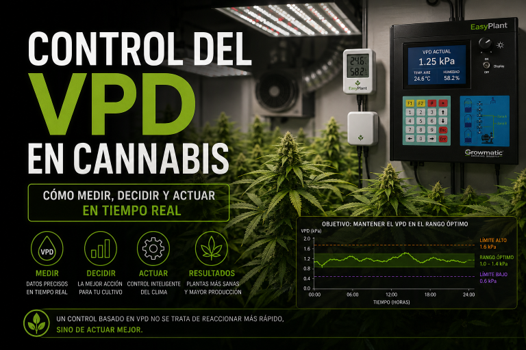 Sistema de control del VPD en cannabis en tiempo real con sensores de temperatura y humedad en cultivo indoor.