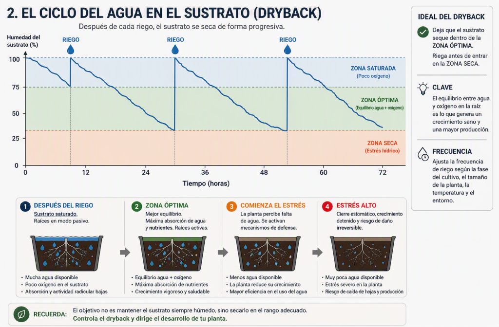 Curva de dryback y evolución de la humedad del sustrato
