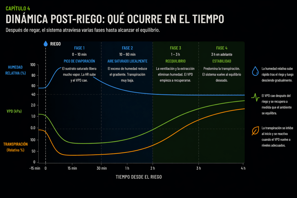 Gráfico que muestra la dinámica tras el riego en un cultivo indoor, explicando cómo evolucionan la humedad relativa, el VPD y la transpiración de la planta hasta recuperar el equilibrio climático.