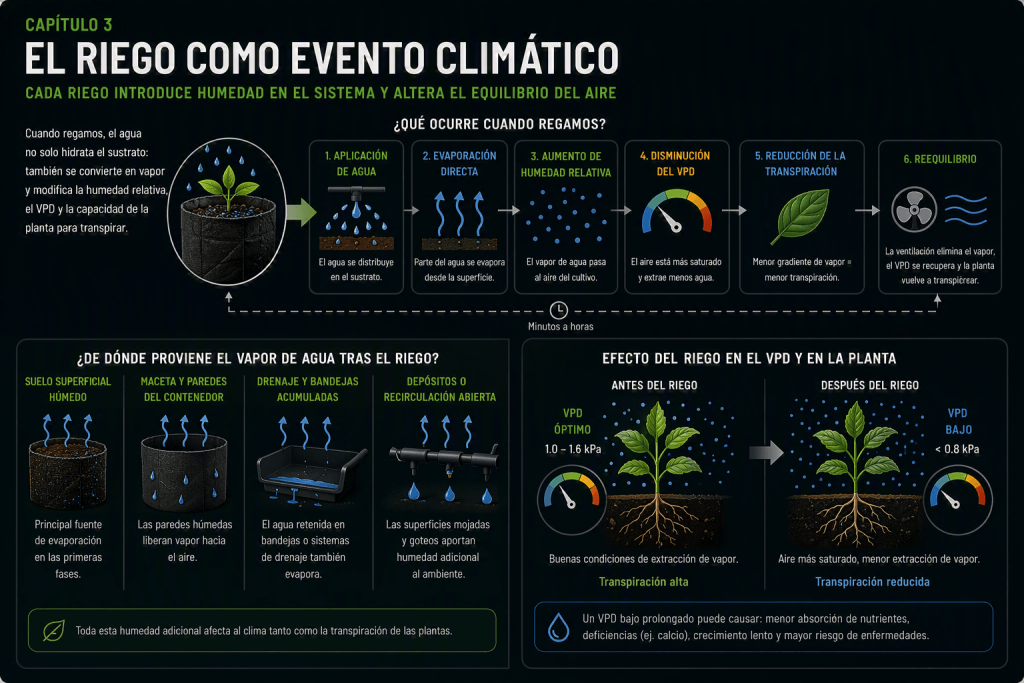 Infografía que muestra el riego como un evento climático en un cultivo indoor, explicando cómo modifica la humedad, la temperatura, el VPD y la transpiración de las plantas tras cada riego.