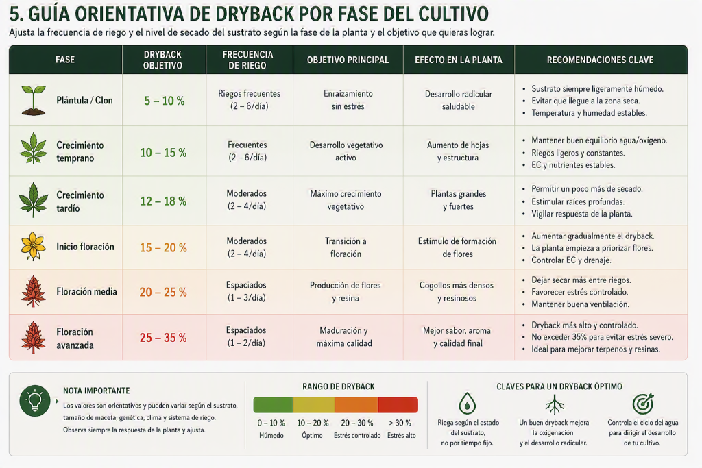 Guía orientativa de dryback según la fase del cultivo de cannabis