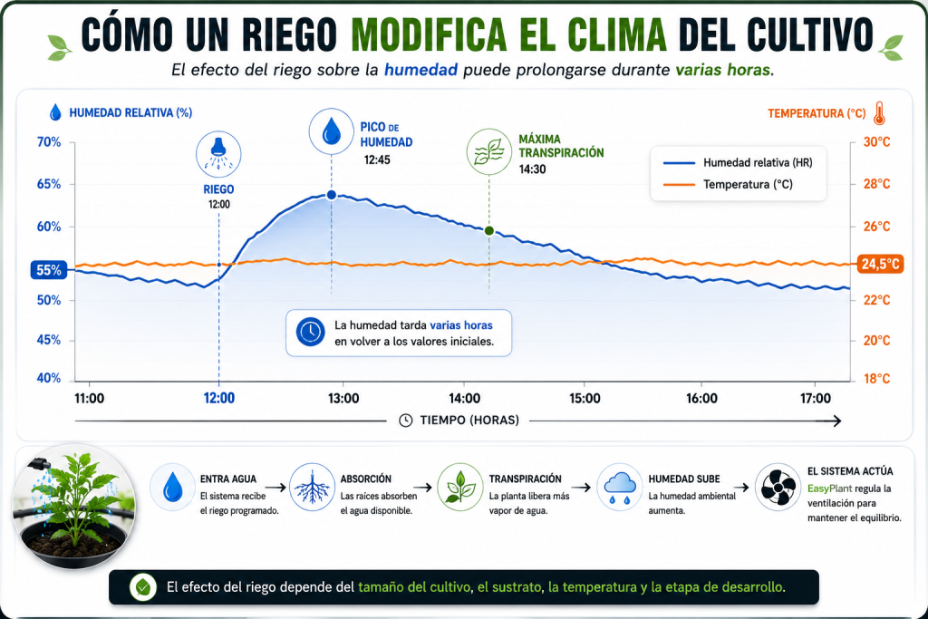 Evolución de la humedad relativa y la temperatura después de un riego en un cultivo interior mostrando el aumento temporal de humedad ambiental.