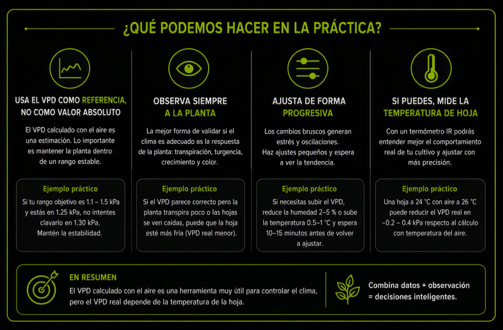 Recomendaciones prácticas para interpretar correctamente el VPD en un cultivo de cannabis y realizar ajustes climáticos de forma gradual.