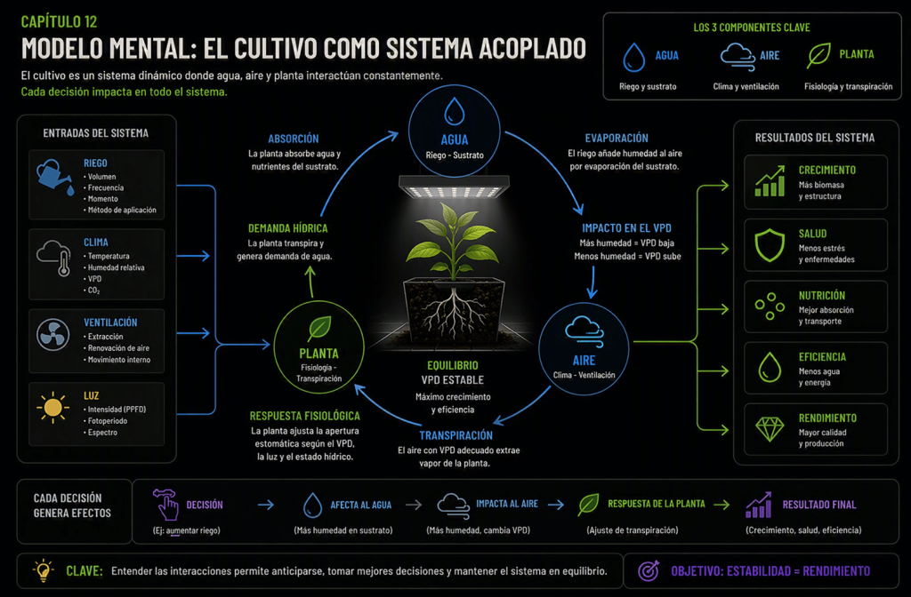 El riego, el clima, la iluminación y la fisiología de la planta forman un único sistema interconectado.