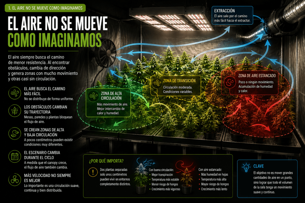 Recorrido real del aire dentro de un cultivo indoor con zonas de alta circulación y bolsas de aire estancado.