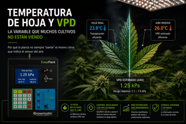 Infografía sobre temperatura de hoja y VPD en cannabis, mostrando la diferencia entre la temperatura real de la hoja y la temperatura medida del aire.