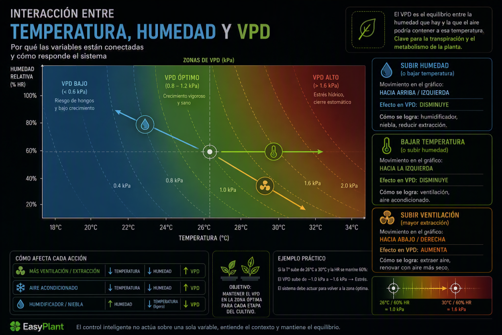 Relación entre temperatura, humedad relativa y VPD para mantener un clima equilibrado en un cultivo interior.