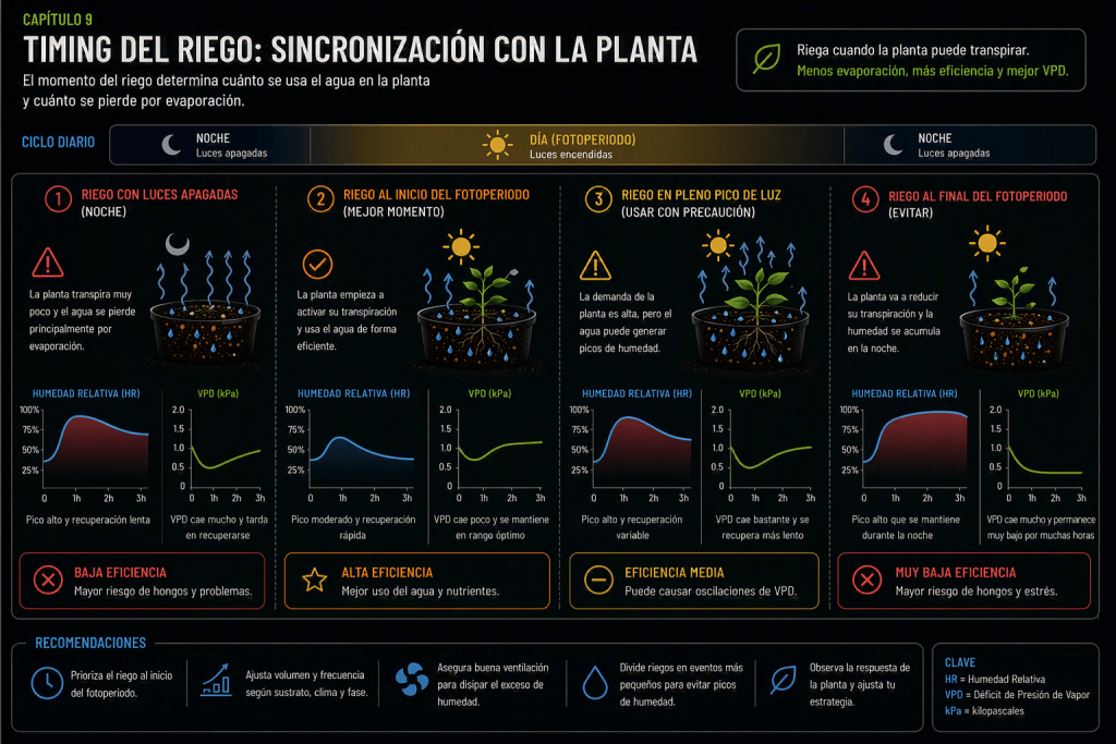Comparación del efecto de regar durante la noche, al inicio del fotoperiodo, en las horas centrales del día y antes del apagado de las luces.