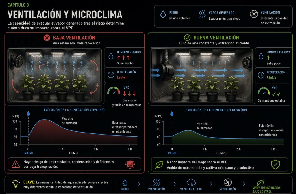 La ventilación elimina el exceso de humedad tras el riego y reduce la formación de microclimas alrededor del canopy.