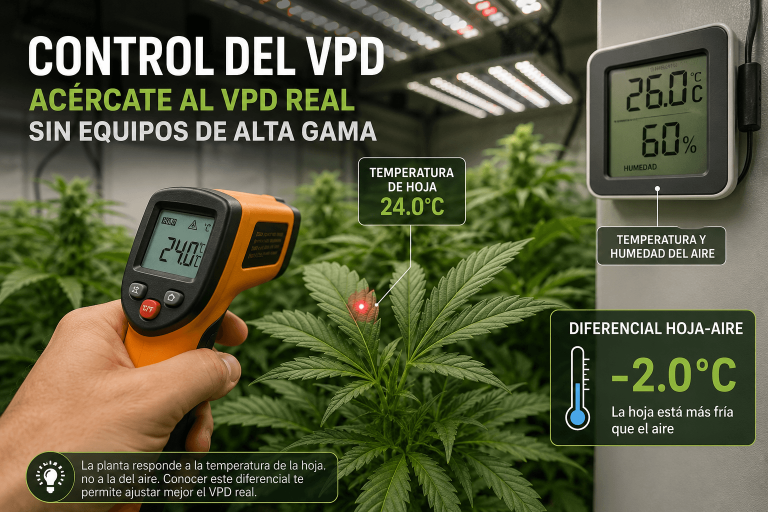 Control del VPD mediante la temperatura de la hoja para aproximarse al VPD real en un cultivo de interior.
