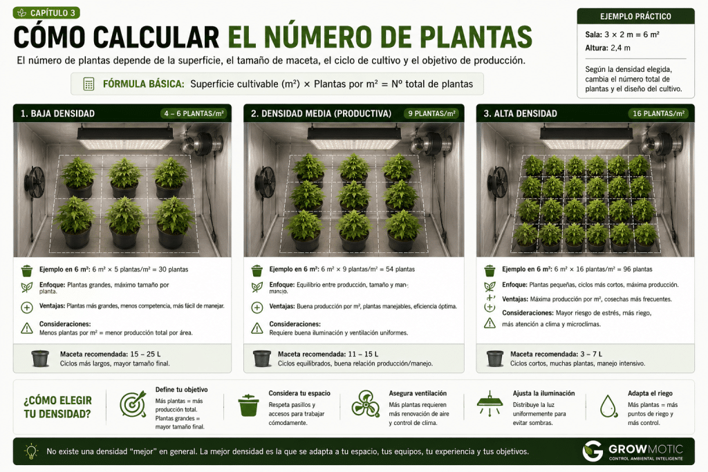 Cómo diseñar un cultivo de interior calculando el número de plantas según la superficie.